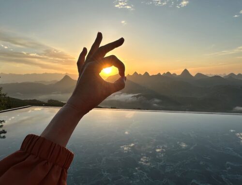 Panoramic View of the School from Above