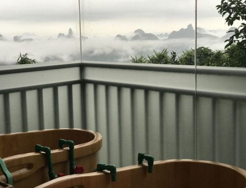 When the Body Begins to Listen: Traditional Chinese Healing at Long Tou Shan Tai Chi School